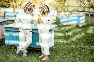 Fototapeta premium Two beekeepers in protective uniform standing together near the wooden beehives on a small traditional apiary. Concept of beekeeping and small farming