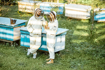 Fototapeta premium Two beekeepers in protective uniform standing together near the wooden beehives on a small traditional apiary. Concept of beekeeping and small farming