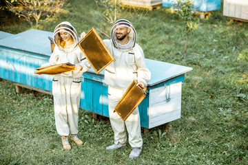 Two beekeepers in protective uniform examining honeycombs while working on a traditional apiary. Concept of beekeeping and small farming