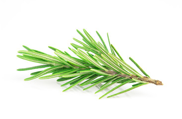 Fototapeta premium Rosemary leaves isolated on white background, top view