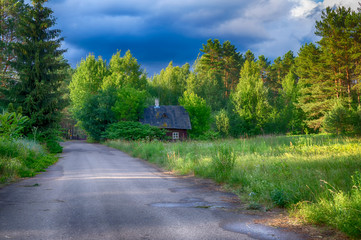 Small cottage nestling amongst green trees