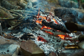 Close-up view on fire in the woods