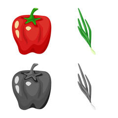 Isolated object of taste and product symbol. Set of taste and cooking stock vector illustration.