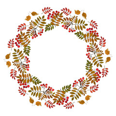 Fototapeta na wymiar Wreath with bunches of berries and rowan leaves. Vector illustration