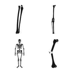 Vector design of biology and medical icon. Set of biology and skeleton stock vector illustration.