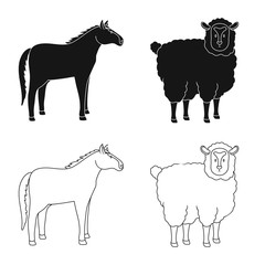 Vector design of breeding and kitchen logo. Set of breeding and organic stock vector illustration.