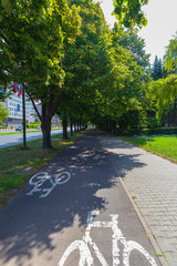 One of the many shady bike paths in Warsaw