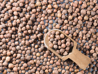 Allspice (Jamaica pepper) in a wooden scoop on allspice background diagonally