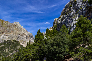 Scenic View at landscape between Gorg Blau and Soller on balearic island Mallorca, Spain