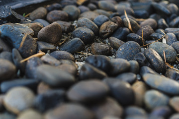 Close up of pebble stones on the pavement for background use