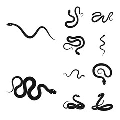 Vector illustration of nature and medicine logo. Collection of nature and evil stock vector illustration.