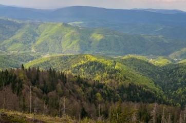 Beautiful mountain spring landscape. Picturesque path on the green hills.