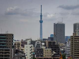 Tokyo Skytree rising high above surrounding buildings