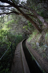 madeira island portugal, nature,