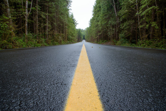 Bright yellow line on wet road through forest