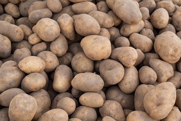 Food background of unwashed Organic potatoes on a market stall. Weekly spanish marketplace