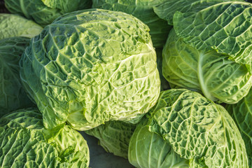 Fototapeta premium Food background, close up view of young ripe fresh savoy cabbage on morning weekly marketplace in Spain.