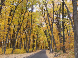 マディソンのデビルズレイク