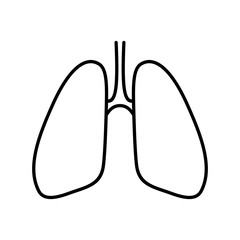 lungs linear icon, isolated pictogram, human internal organ, symbol for human viscera