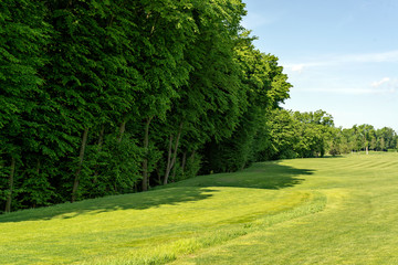 City summer park with green trees bench, walkway and lantern.