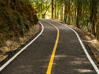 Small Road to Nature Trail