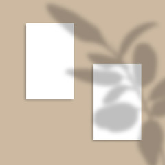 Shadow Overlay Plant Vector Mockup Vertical business Card. Vector Realistic shadows overlays leaf. Template Flyer, Card, Poster, blank, social media post, logo in minimal trendy style.