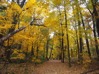 Obraz premium マディソンのデビルズレイク