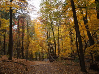 マディソンのデビルズレイク