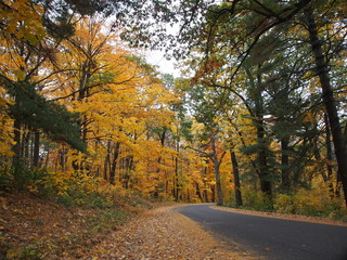 マディソンのデビルズレイク