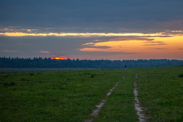 Fototapeta na wymiar Sunset in the field. Field with the road. Beautiful natural landscape. Summer evening background.