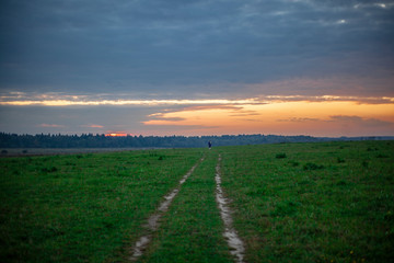 Obraz premium Sunset in the field. Field with the road. Beautiful natural landscape. Summer evening background.