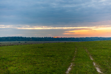 Sunset in the field. Field with the road. Beautiful natural landscape. Summer evening background.