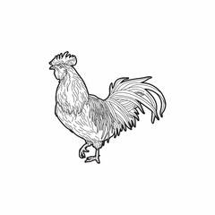 Animal Rooster Black Line Nature Farm Agriculture Business Company Stock Vector Logo Design Template