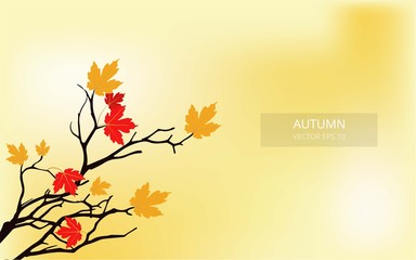 Autumn Vector Background, Realistic Autumn vector background