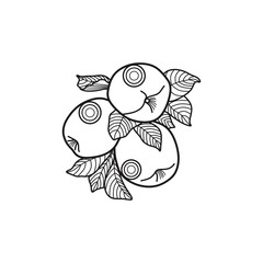 Fruit Black Line Apple Nature Farm Agriculture Business Company Stock Vector Logo Design Template