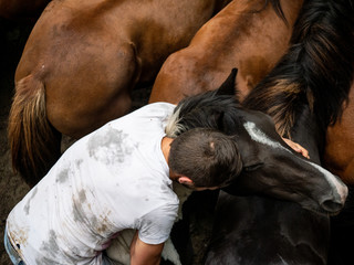 A "loitador" holds a wild horse in a traditional celebration 