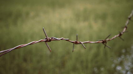 Barbed wire. Barbed wire on fence to feel worrying Concept