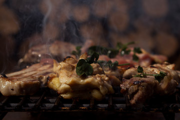 Pork and Chicken Meat Grilling on Barbecue