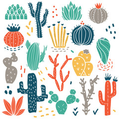 Colorful succulents and cacti plants © Elena