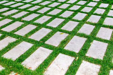 Gray paving stones on the green grass as background texture