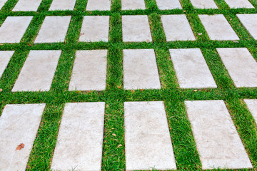 Gray paving stones on the green grass as background texture