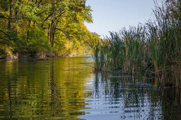 Fototapeta premium Autumn landscape on the river