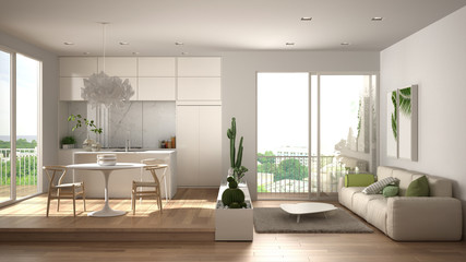 Eco green interior design, white living room with sofa, kitchen with dining table, succulent potted plants, parquet floor, window on panoramic balcony. Sustainable architecture