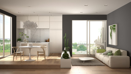 Eco green interior design, white and gray living room with sofa, kitchen with dining table, succulent potted plants, parquet floor, window, panoramic balcony. Sustainable architecture