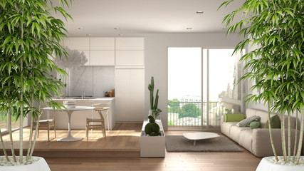 Zen interior with potted bamboo plant, natural interior design concept, living room with sofa, kitchen, dining table, succulent plants, window, contemporary modern architecture idea