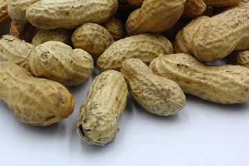 peanuts in shell