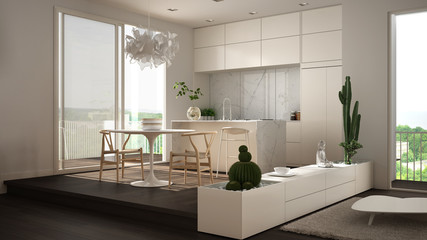 Eco green interior design, white and gray living room with sofa, kitchen with dining table, succulent potted plants, parquet floor, window, panoramic balcony. Sustainable architecture