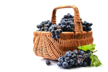 Grapes on a white background