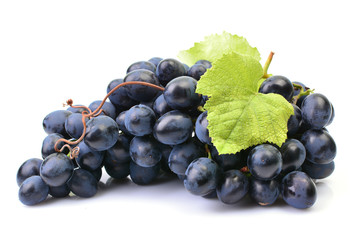 Grapes on a white background