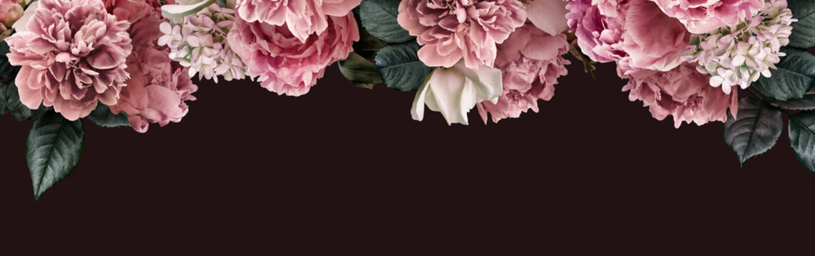 Fototapeta Floral banner, flower cover or header with vintage bouquets. Pink peonies, white roses, hydrangea isolated on black background.
